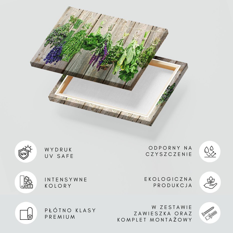 Obraz na płótnie - zioła, suszenie, dekoracja