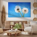 Obraz na płótnie - dmuchawiec, niebo, natura