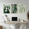 Zestaw obrazy w ramie, plakaty - liście, tropikalne, roślina - rama biała