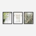 Zestaw obrazy w ramie, plakaty - liście, okno, ściana - rama czarna
