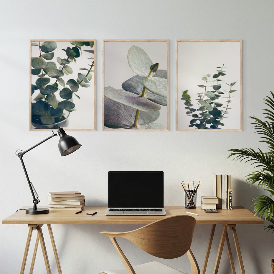 Zestaw obrazy w ramie, plakaty - eukaliptus, liście, gałązki - rama drewno