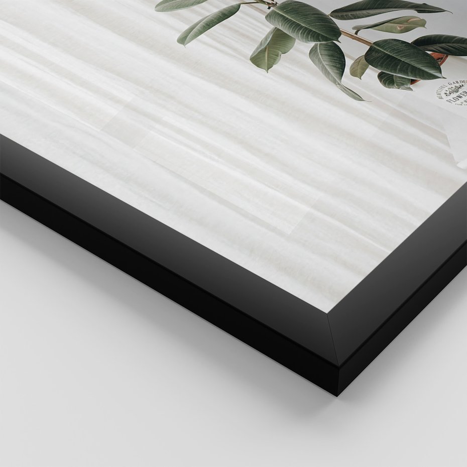 Zestaw obrazy w ramie, plakaty - rośliny, wnętrze, dekoracje - rama czarna