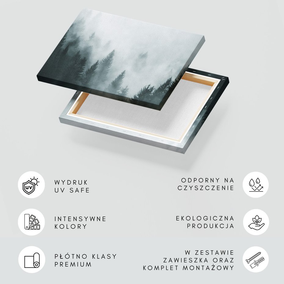 Obraz na płótnie - las, mgła, drzewa