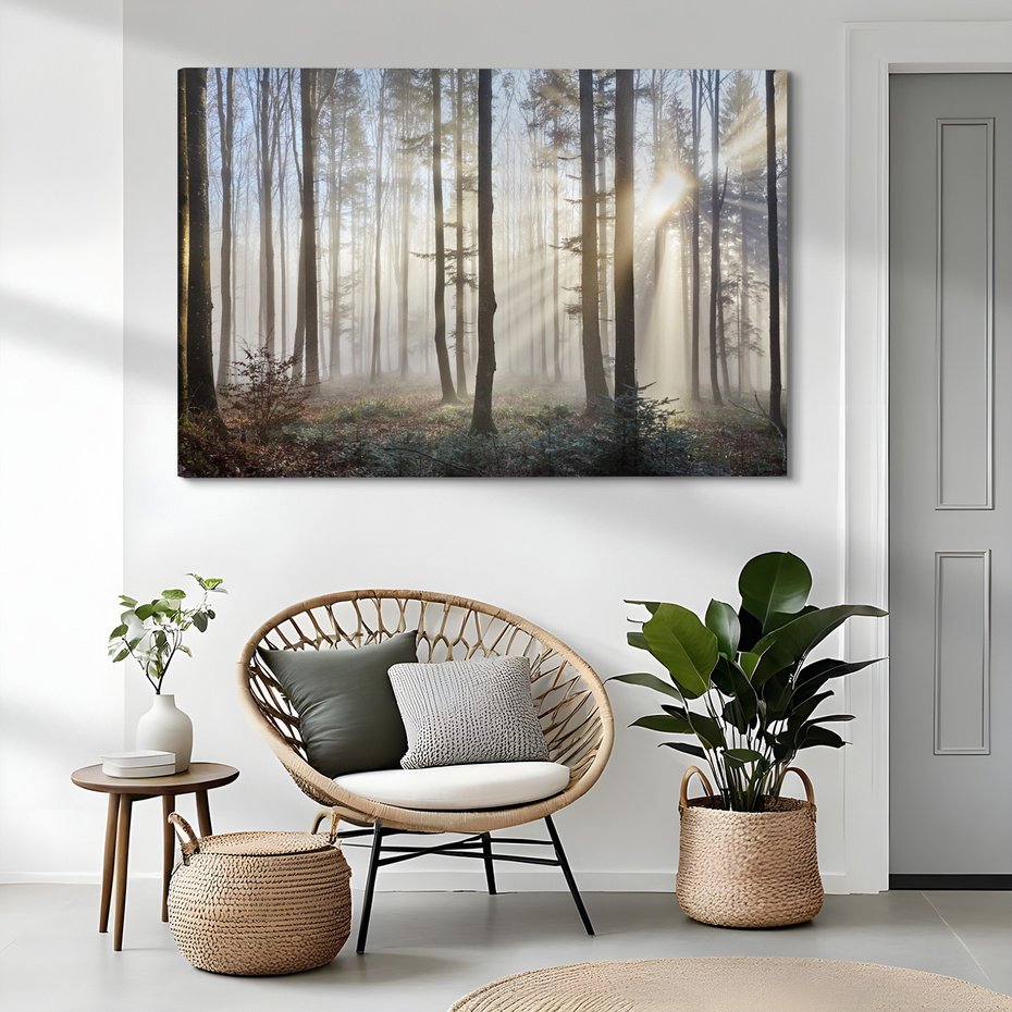 Obraz na płótnie - las, drzewa, mgła