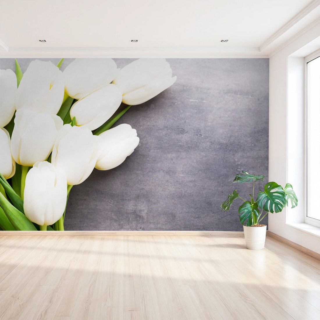 Fototapeta - tulipany, kwiaty, biel,