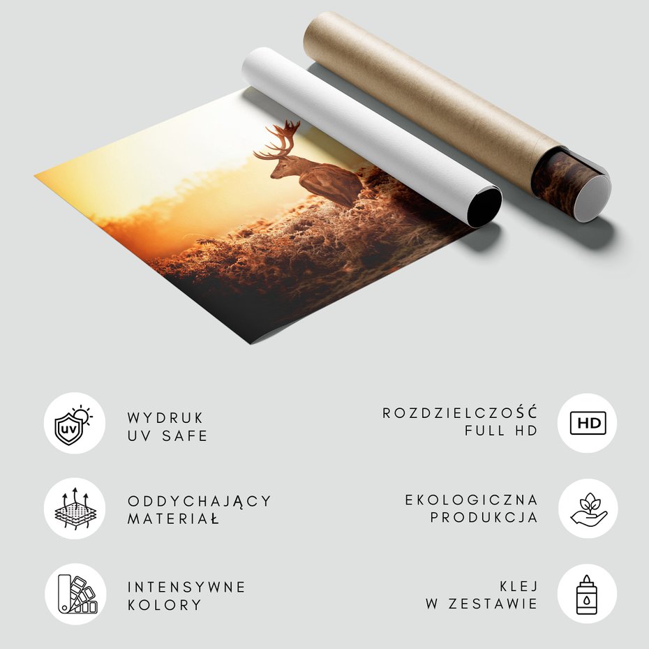 Fototapeta - jeleń, natura, krajobraz