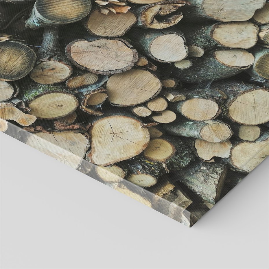 Obraz na płótnie - drewno, pnie, kora