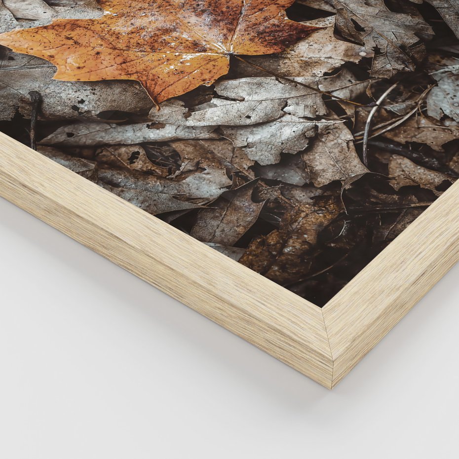 Zestaw obrazy w ramie, plakaty - liście, jesień, napisy - rama drewno