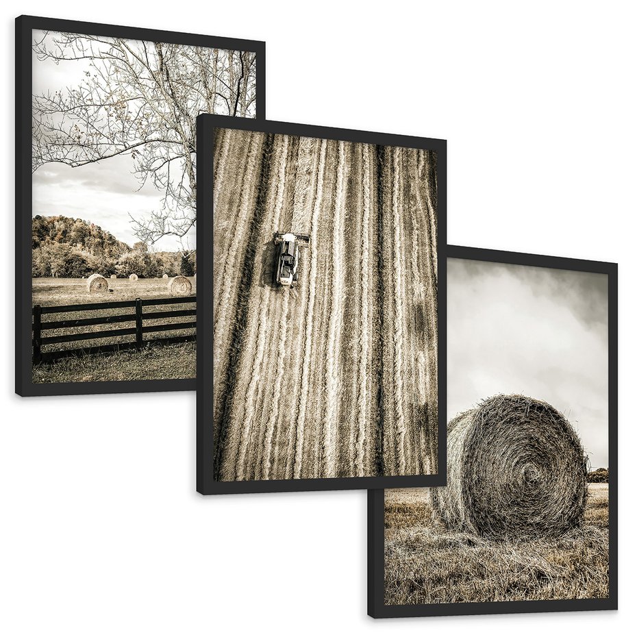 Zestaw obrazy w ramie, plakaty - wieś, pole, siano, - rama czarna