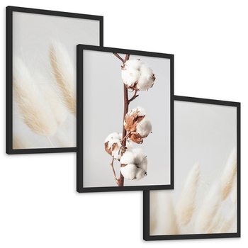 Zestaw obrazy w ramie, plakaty - bawełna, trawa, puszysty - rama czarna