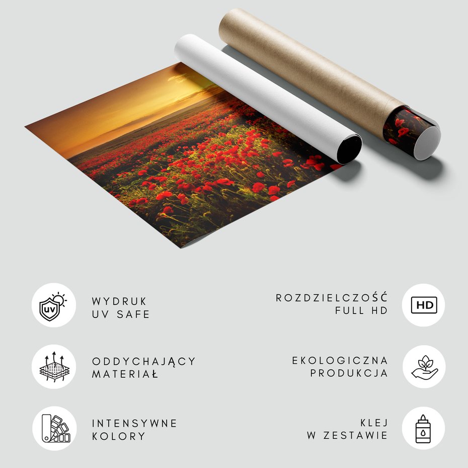 Fototapeta - maki, pole, zachód słońca