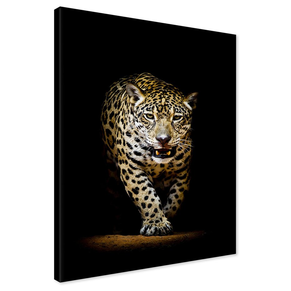 Obraz na płótnie - jaguar, zwierzę, drapieżnik