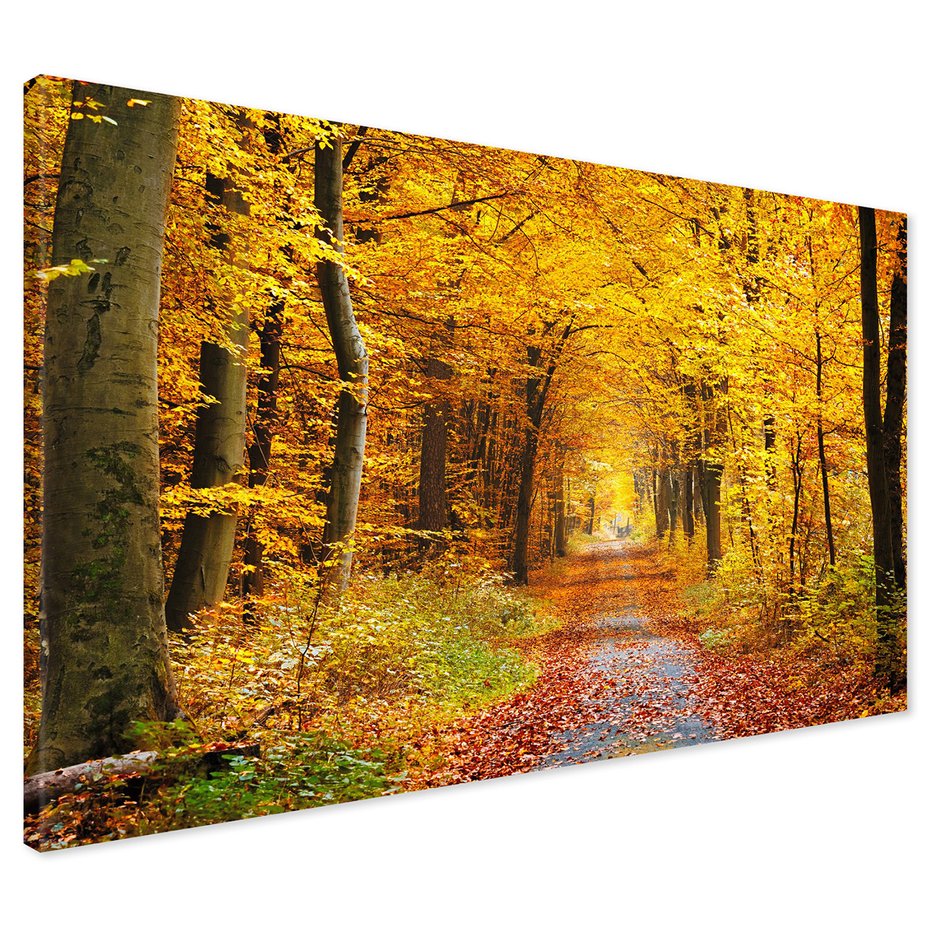 Obraz na płótnie - las, jesień, droga
