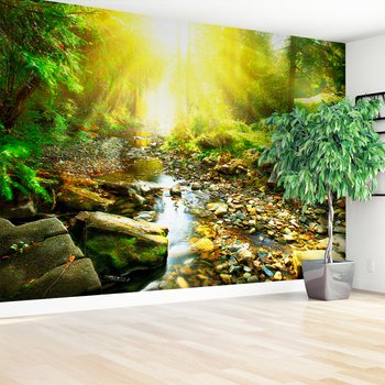 Fototapeta - las, potok, natura