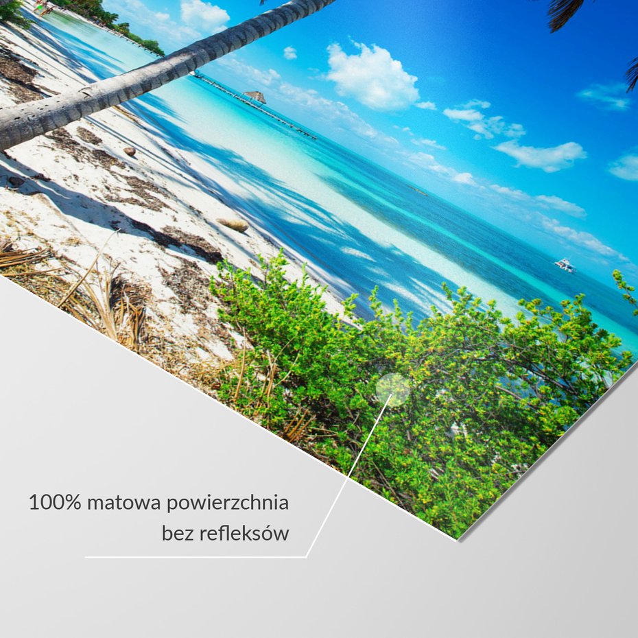 Fototapeta - plaża, palmy, morze