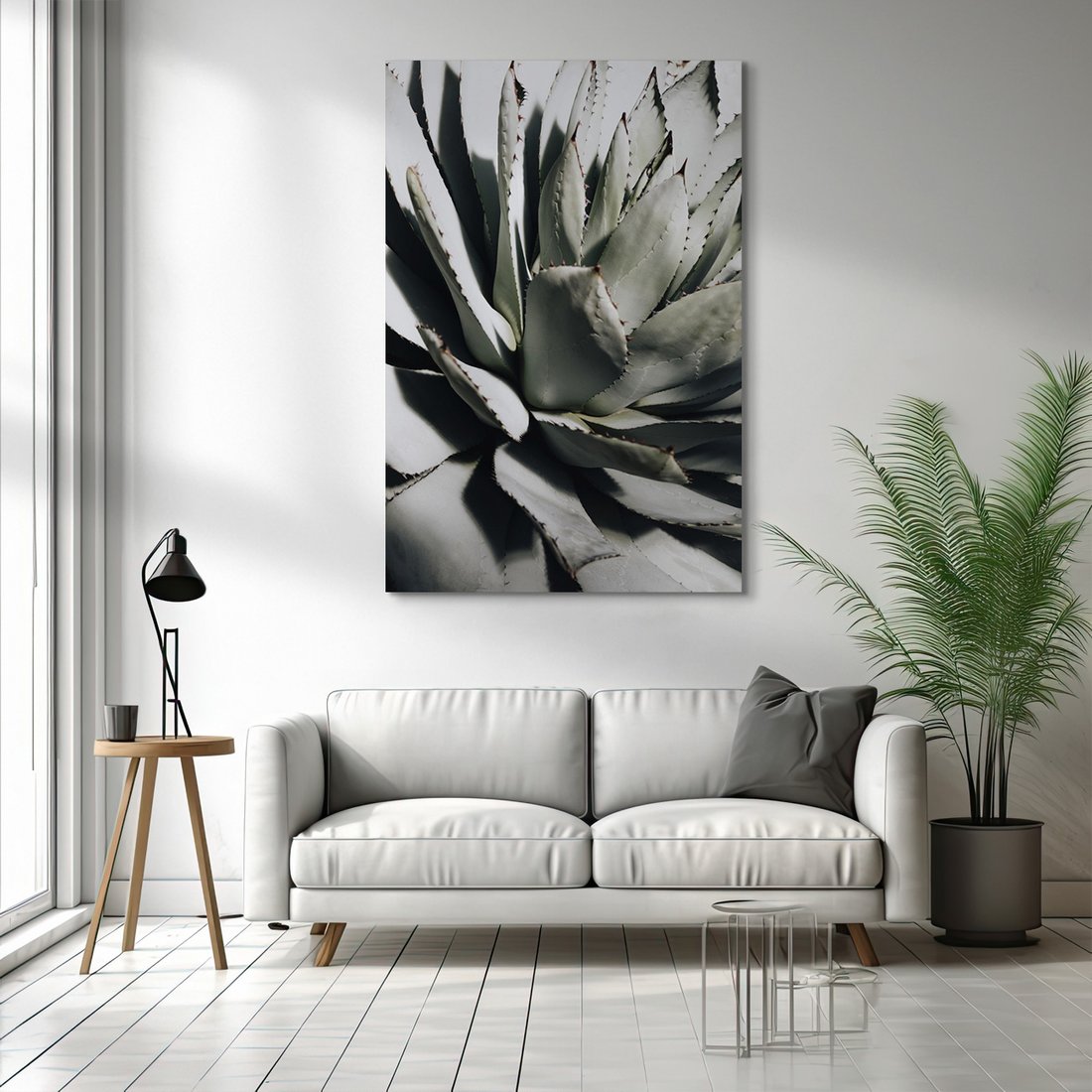 Obraz na płótnie - agawa, roślina, liście