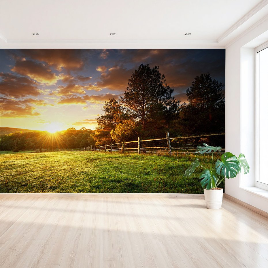 Fototapeta - zachód słońca, krajobraz, drzewa