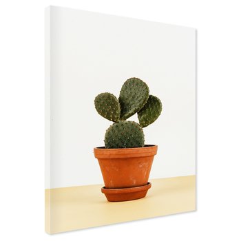 Obraz na płótnie - kaktus, doniczka, roślina