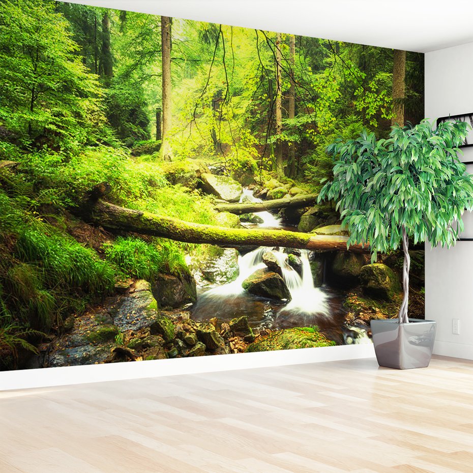 Fototapeta - las, potok, natura