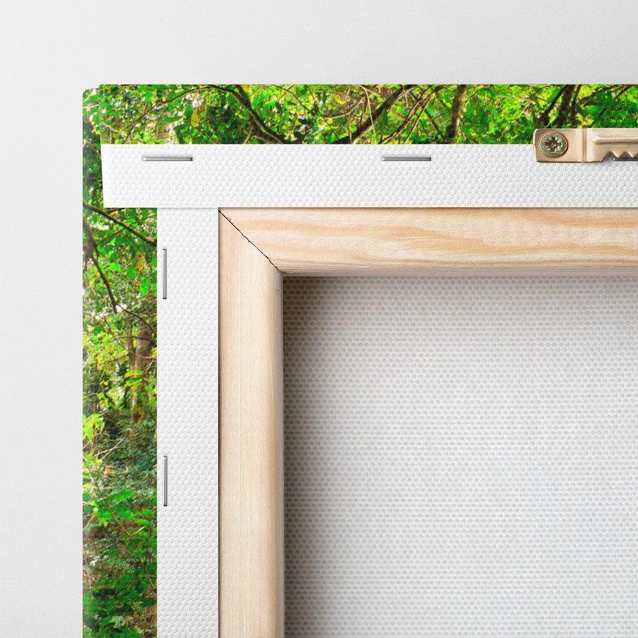 Obraz na płótnie - most, las, natura