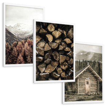 Zestaw obrazy w ramie, plakaty - góry, drewno, las - rama biała