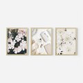 Zestaw obrazy w ramie, plakaty - kwiaty, biały, roślina - rama drewno