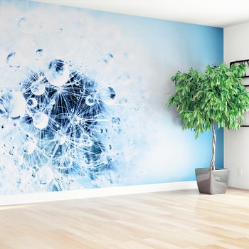 Fototapeta - dmuchawiec, krople, abstrakcja