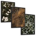 Zestaw obrazy w ramie, plakaty - kwiaty, rośliny, natura - rama czarna