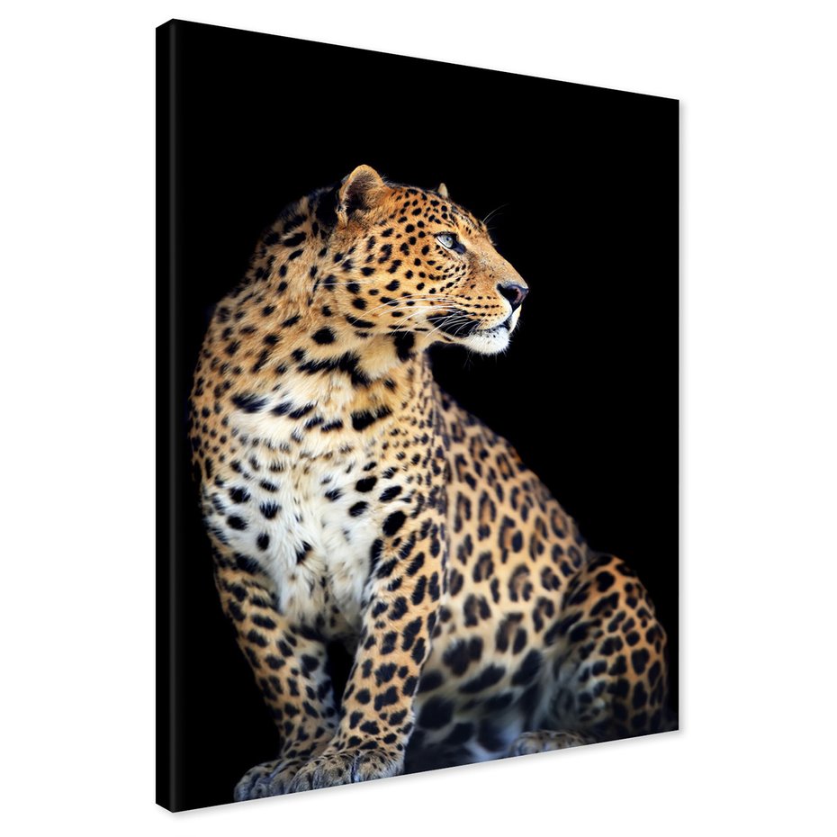 Obraz na płótnie - leopard, zwierzę, kot