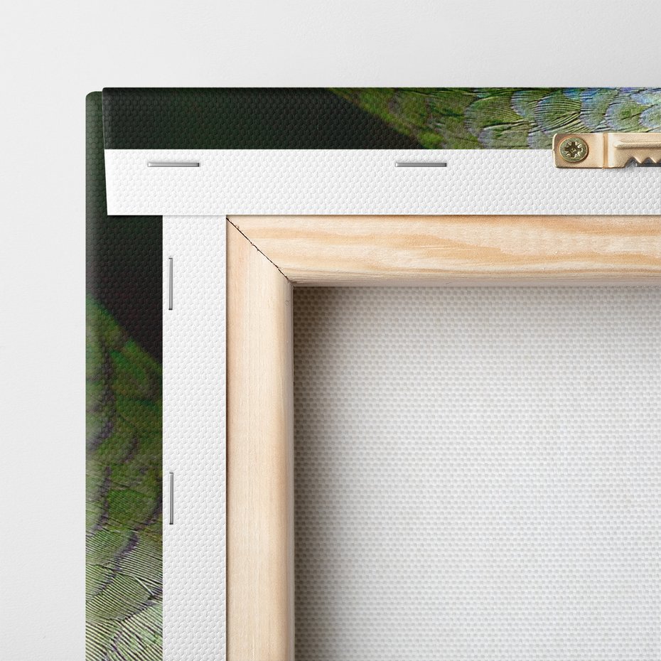 Obraz na płótnie - papuga, ptak, tropikalny