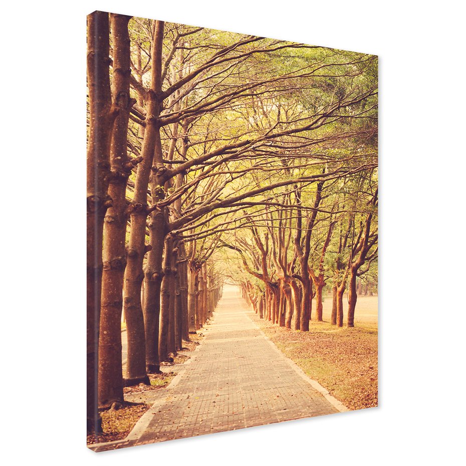 Obraz na płótnie - drzewa, ścieżka, aleja
