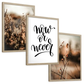 Zestaw obrazy w ramie, plakaty - przyroda, pajęczyna, owoce - rama drewno