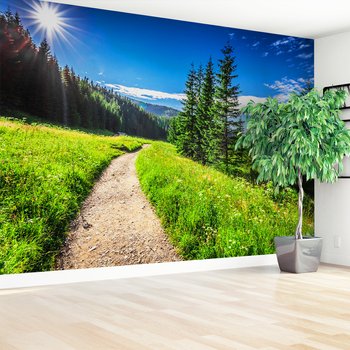 Fototapeta - krajobraz, las, ścieżka