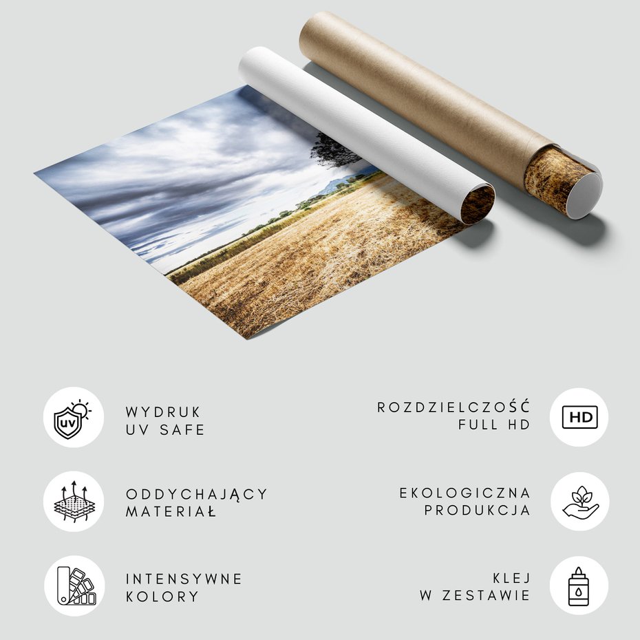 Fototapeta - krajobraz, drzewo, niebo