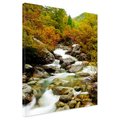 Obraz na płótnie - rzeka, las, kamienie