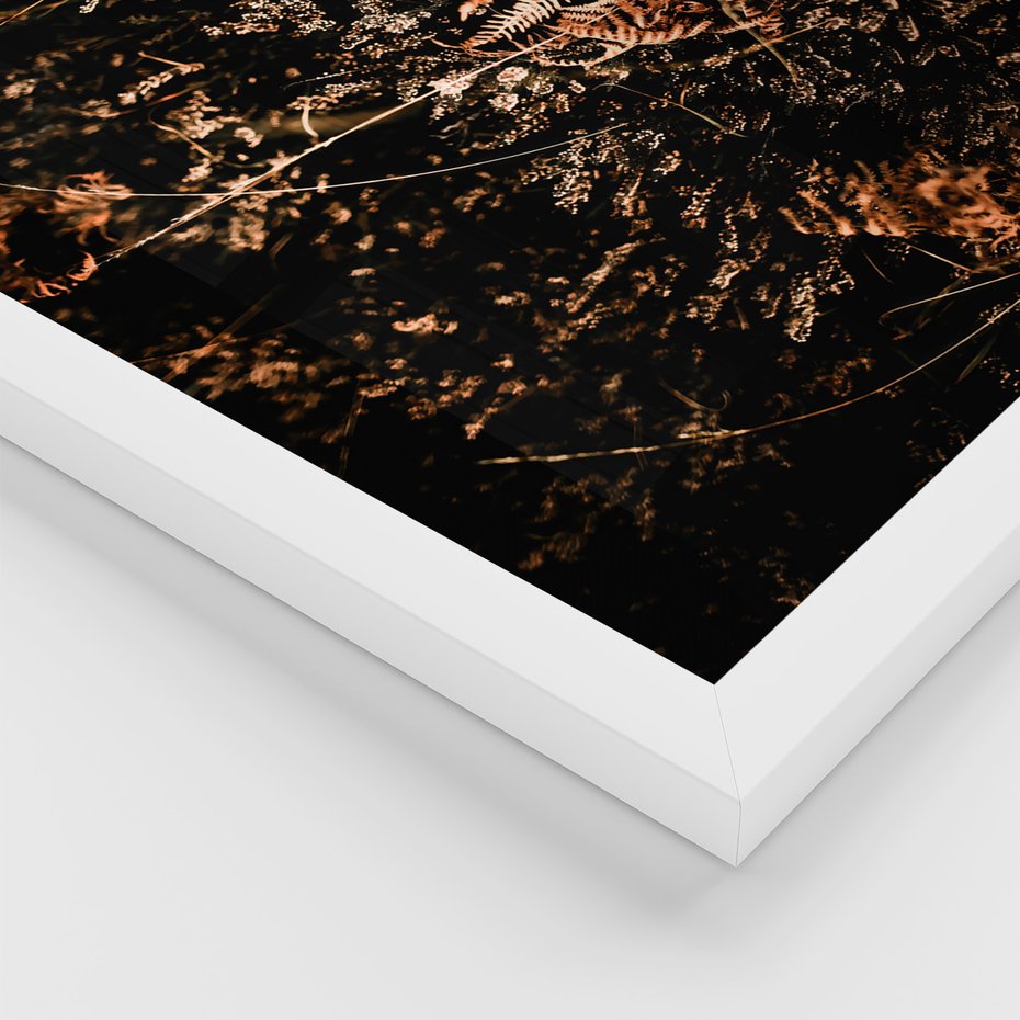 Zestaw obrazy w ramie, plakaty - natura, liście, drzewa - rama biała