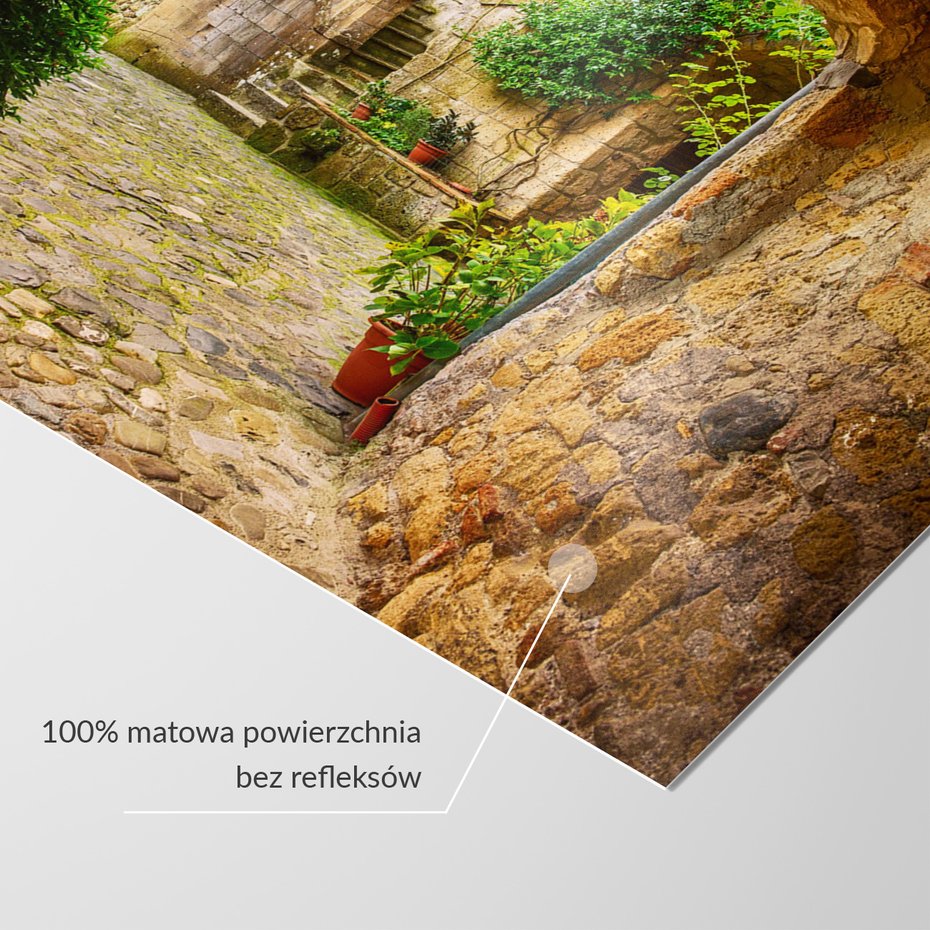 Fototapeta - uliczka, kamień, rośliny