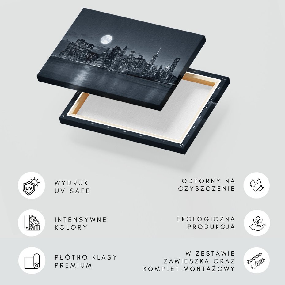 Obraz na płótnie - miasto, noc, księżyc