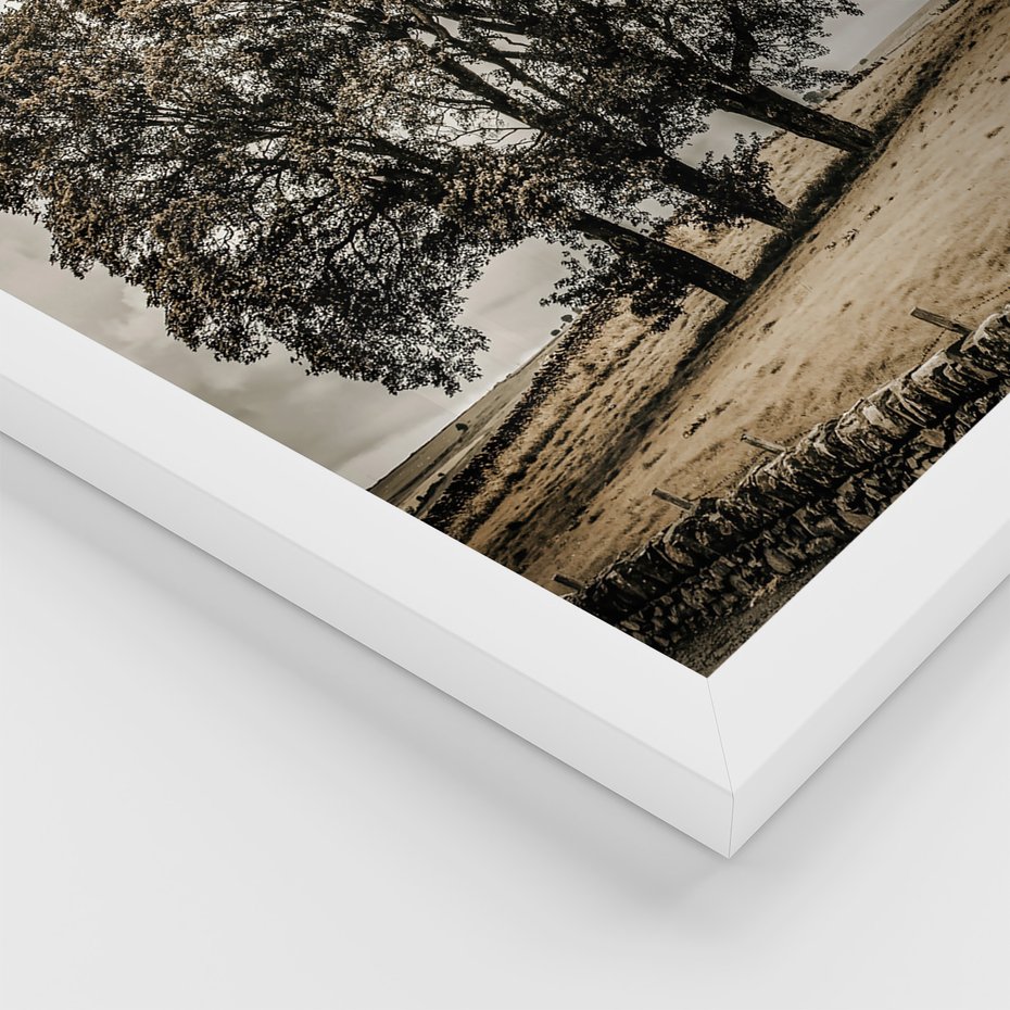 Zestaw obrazy w ramie, plakaty - krajobraz, góry, drzewa - rama biała