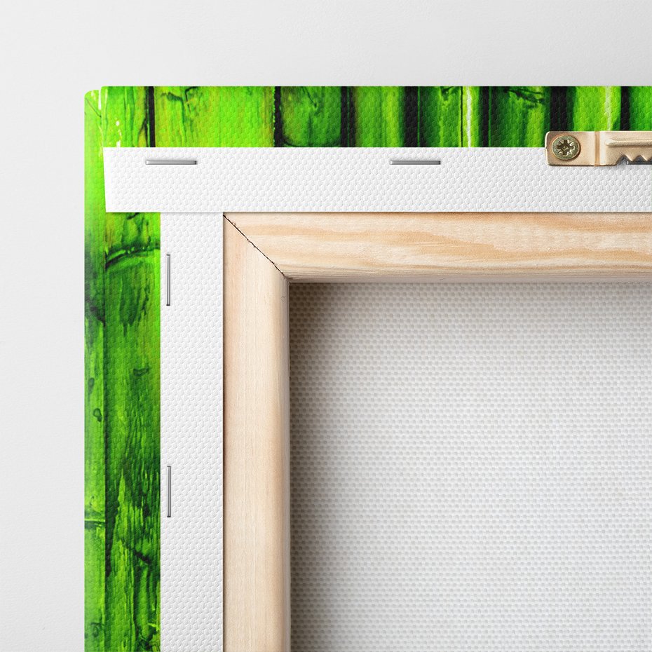 Obraz na płótnie - bambus, zielony, roślina