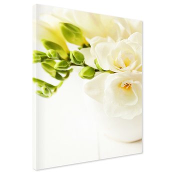 Obraz na płótnie - kwiaty, frezje, białe