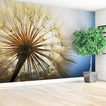 Fototapeta - dmuchawiec, natura, makro