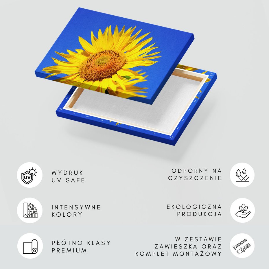 Obraz na płótnie - słonecznik, kwiat, lato