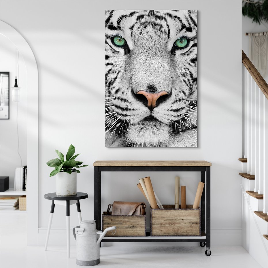 Obraz na płótnie - tygrys, biały, zwierzę