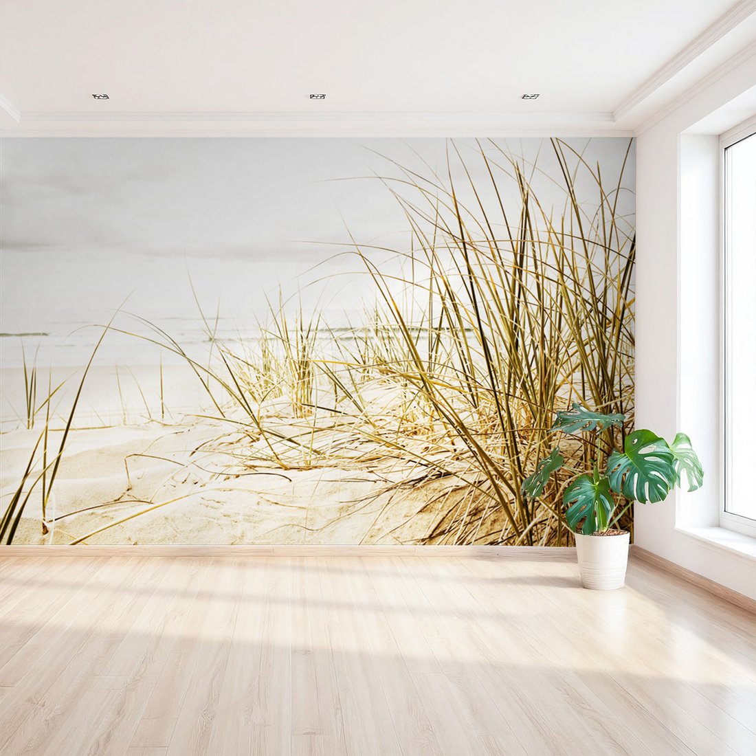 Fototapeta - plaża, piasek, trawa