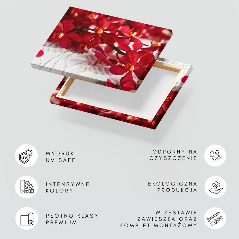 Obraz na płótnie - kwiaty, czerwone, płatki