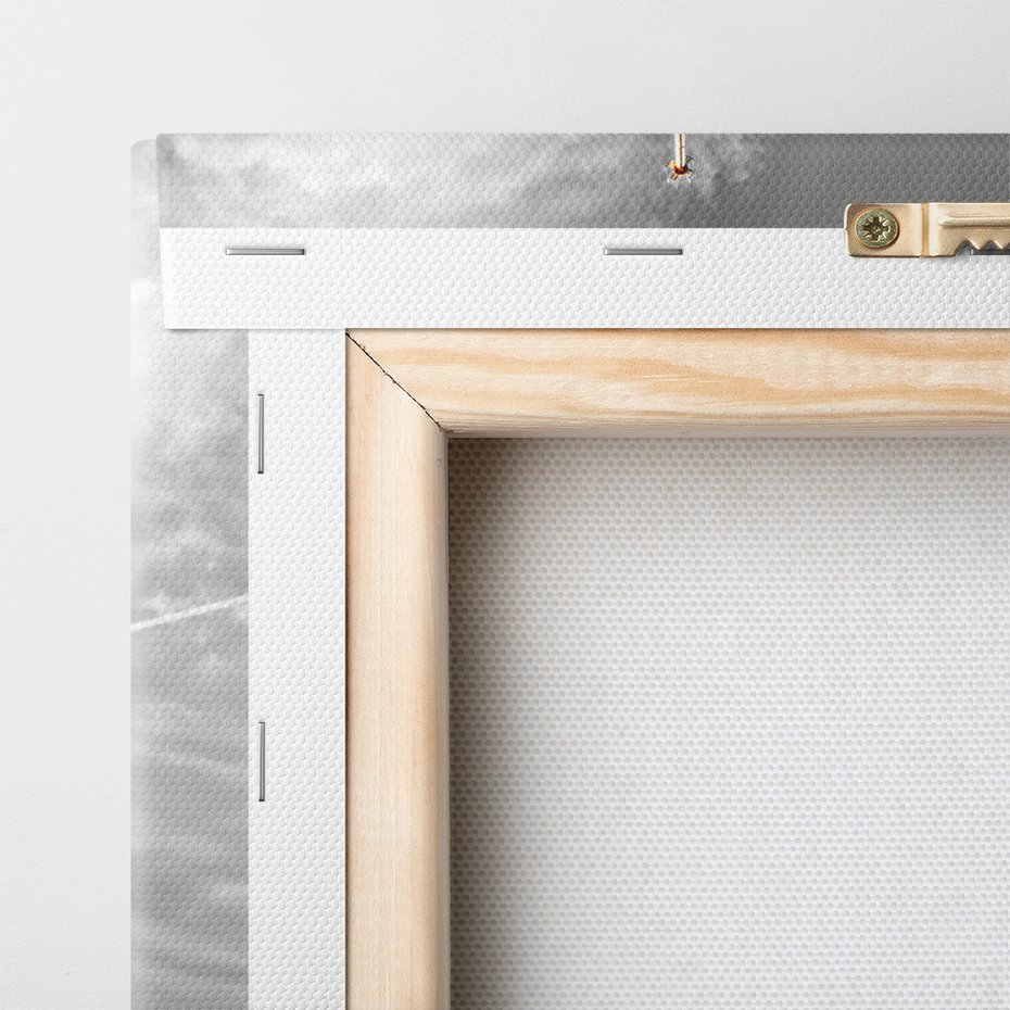 Obraz na płótnie - Wieża Eiffla, Paryż, most