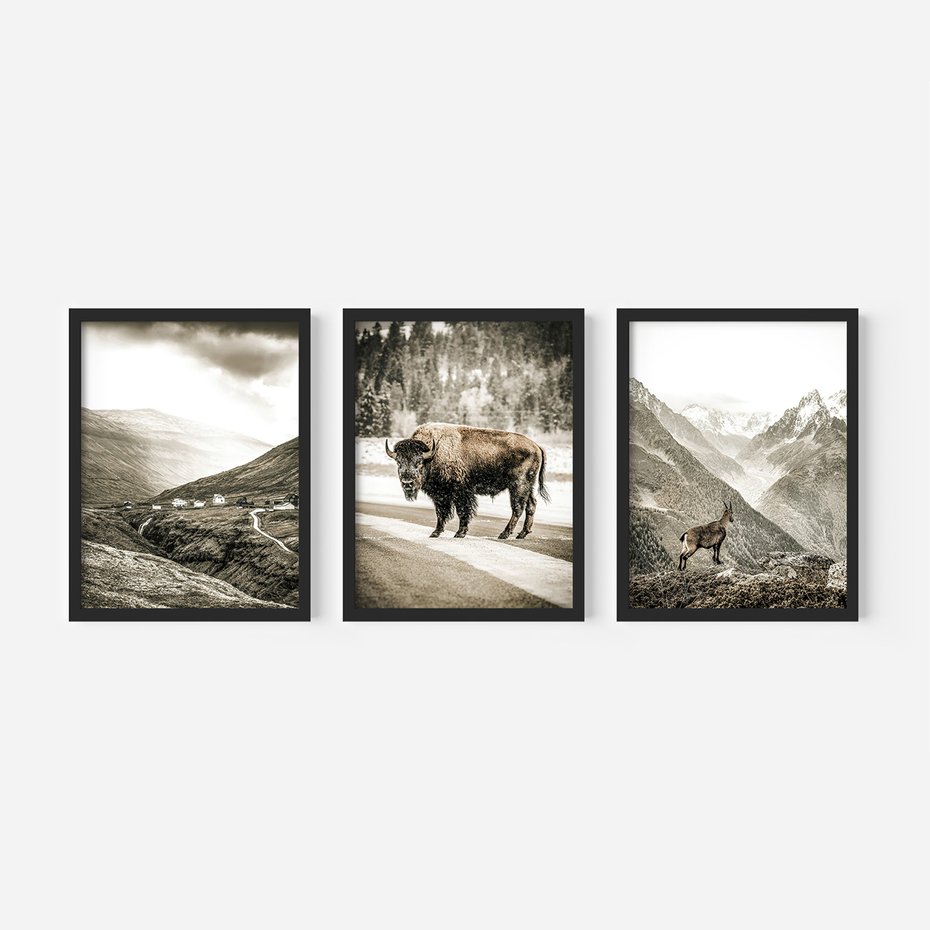Zestaw obrazy w ramie, plakaty - krajobraz, zwierzę, góry - rama czarna