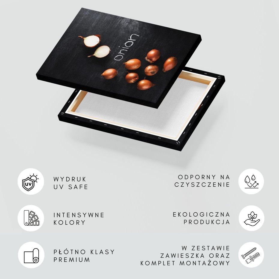 Obraz na płótnie - cebula, warzywo, jedzenie