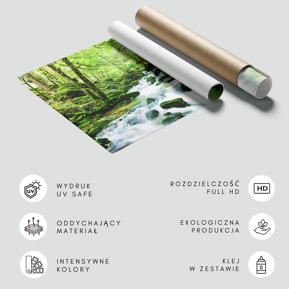 Fototapeta - las, potok, woda